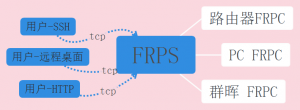 frp网络拓扑